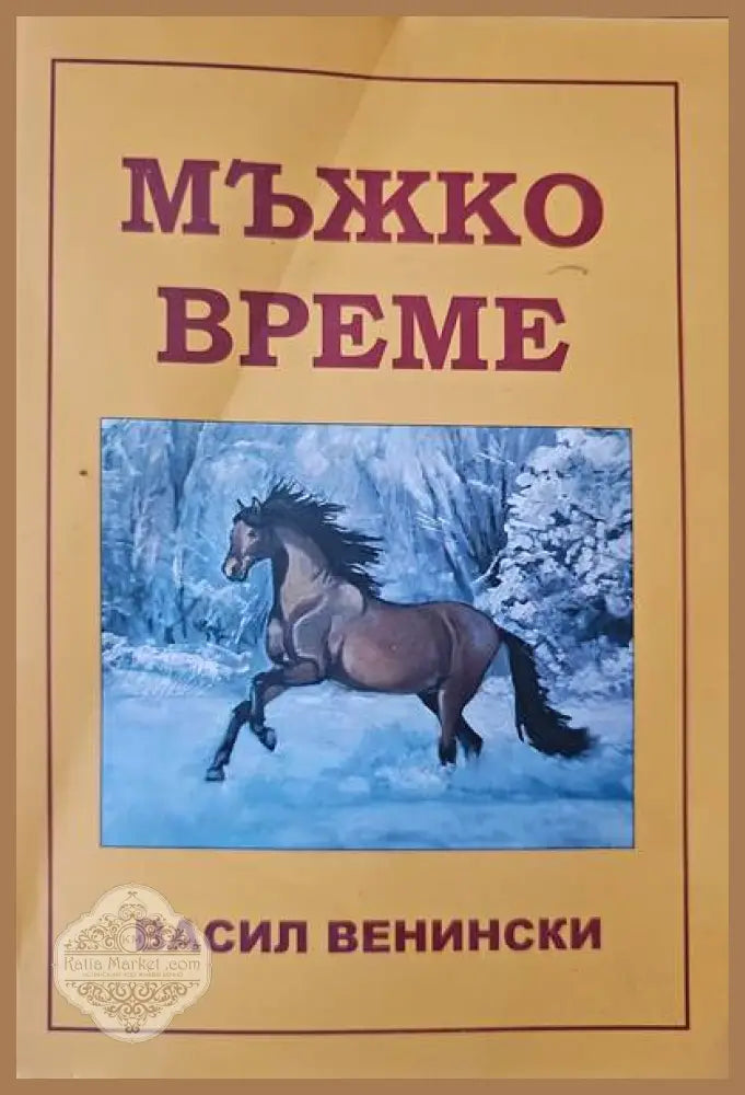 Мъжко време - Васил Венински - Книги