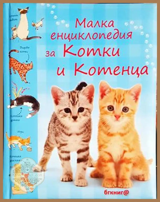 Малка енциклопедия за котки и котенца - Сара Кан