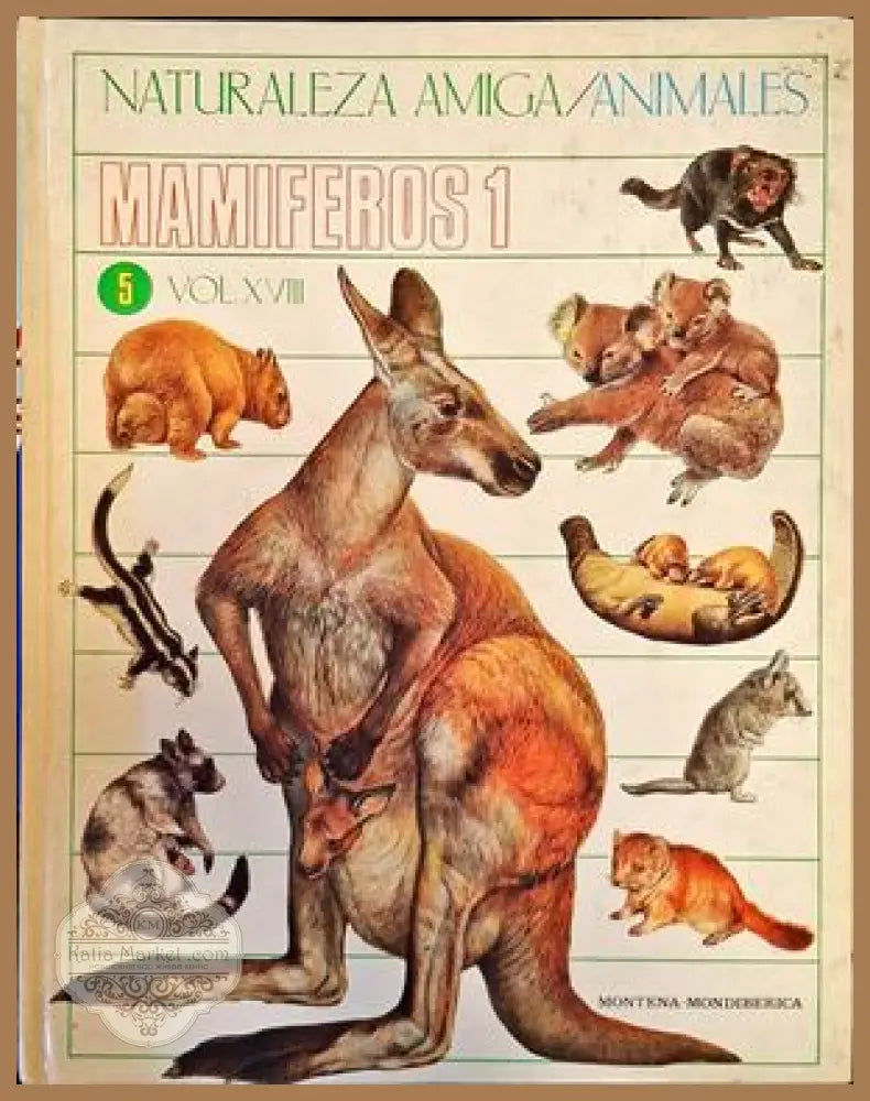 Mamiferos 1 - Авторски колектив - Книги