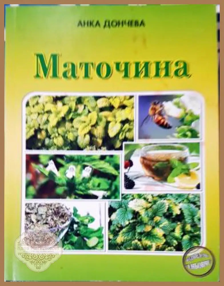 Маточина - Анка Дончева - Книга