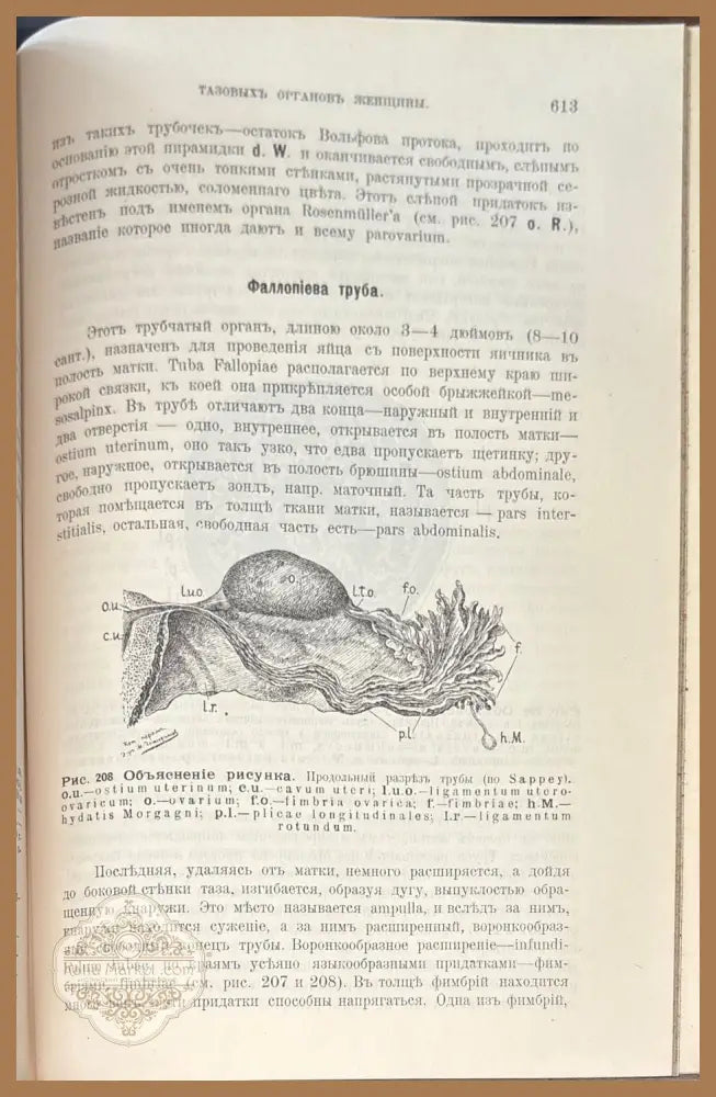 Mаточныя кровотечения. 4-е издание - В. О. Снегирева - Книги