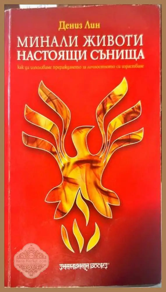 Минали животи настоящи сънища - Дениз Лин - Книги