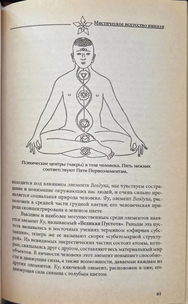 Мистическое искусство ниндзя (933) - Книга