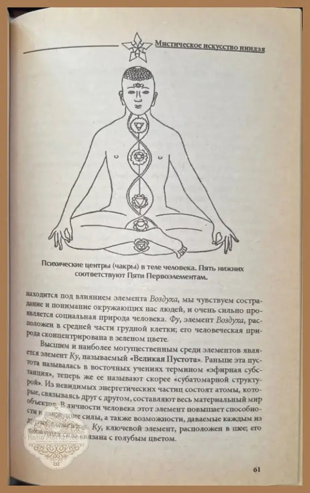 Мистическое искусство ниндзя (933) - Книга