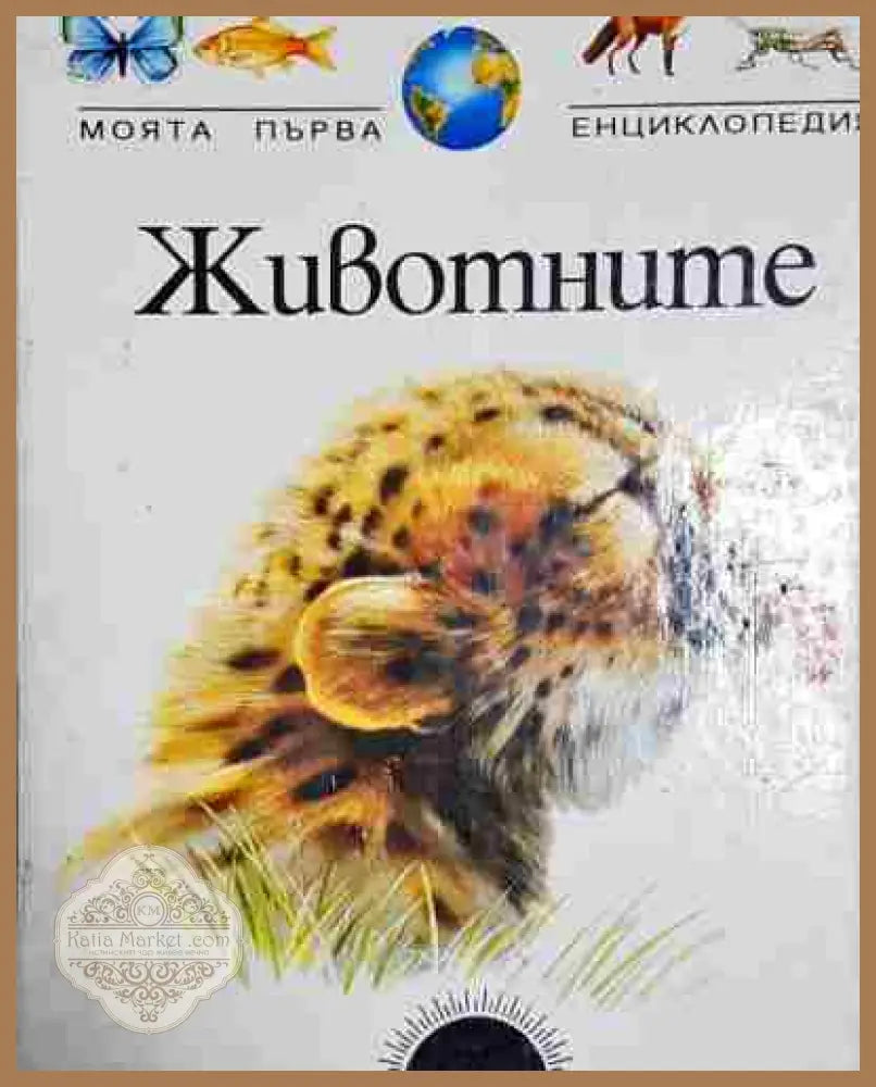 Моята първа енциклопедия: Животните - Елоиса Кансао Барон Хисела Соколовски Руди - Книга