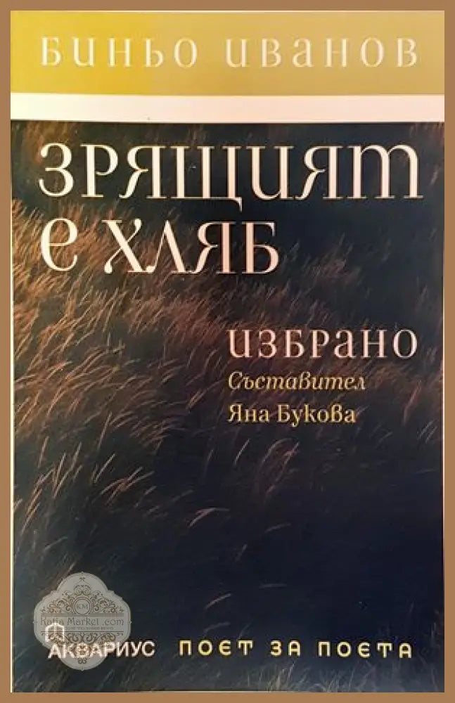 Мой словарь. Иврит-русский - Книги