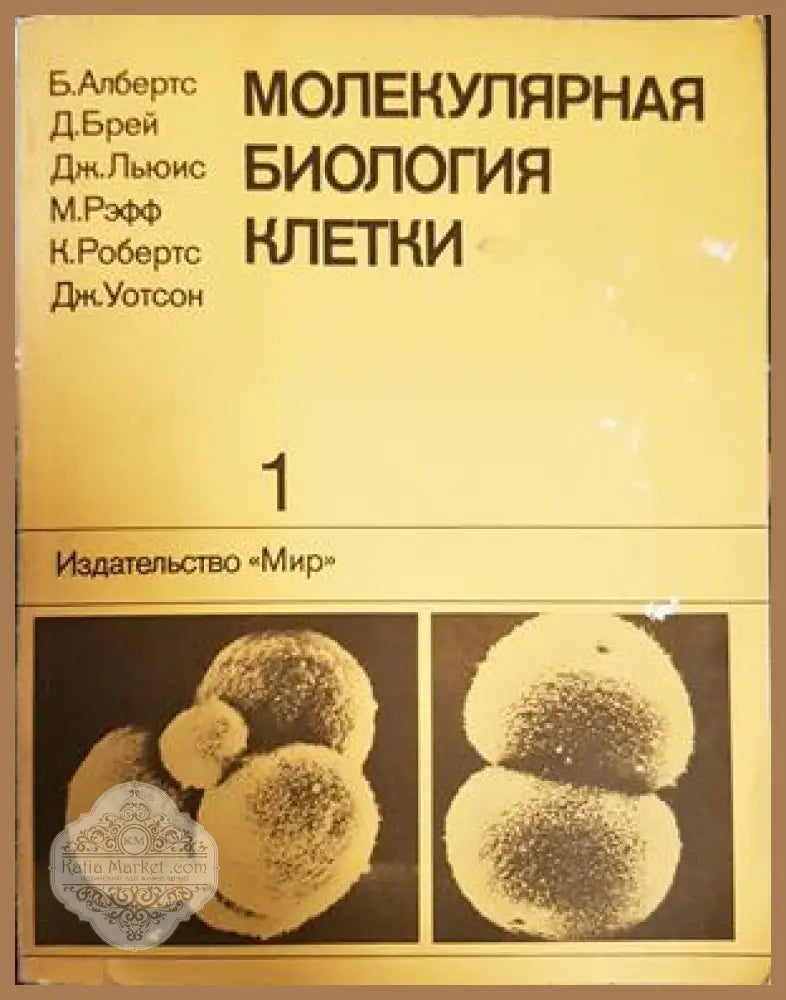 Молекулярная биология клетки. Том 1 - Албертс и др.