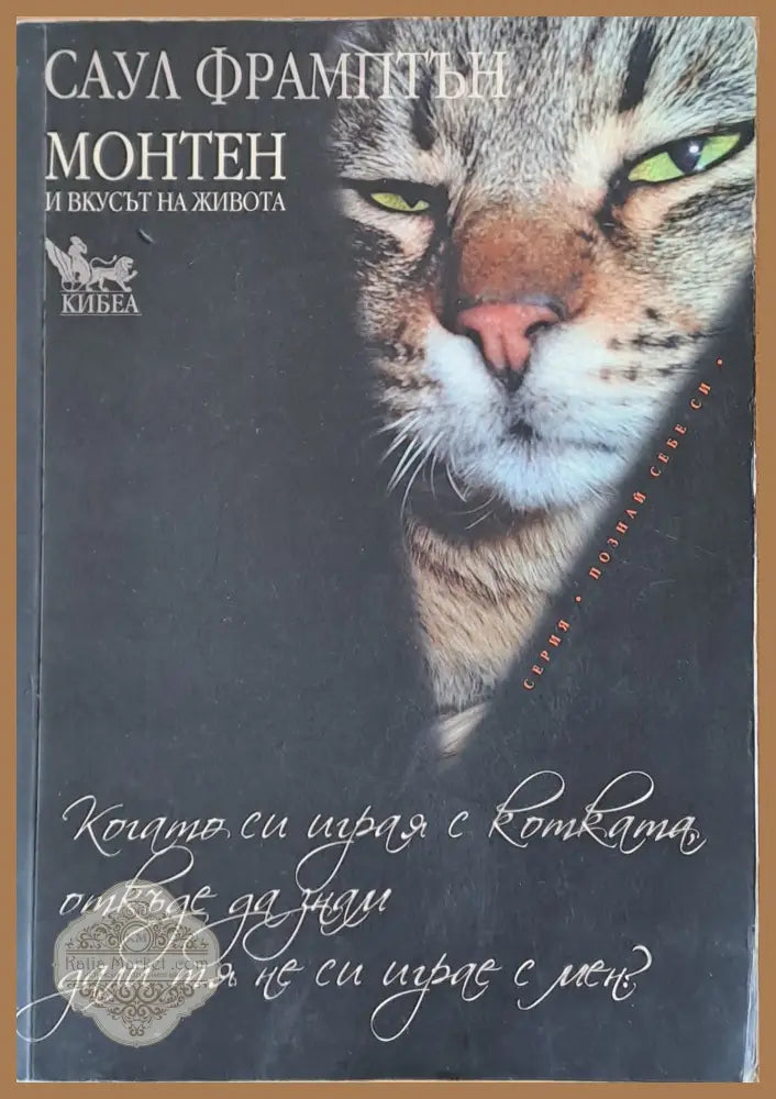 Монтен и вкусът на живота - Саул Фрамптън - Книги