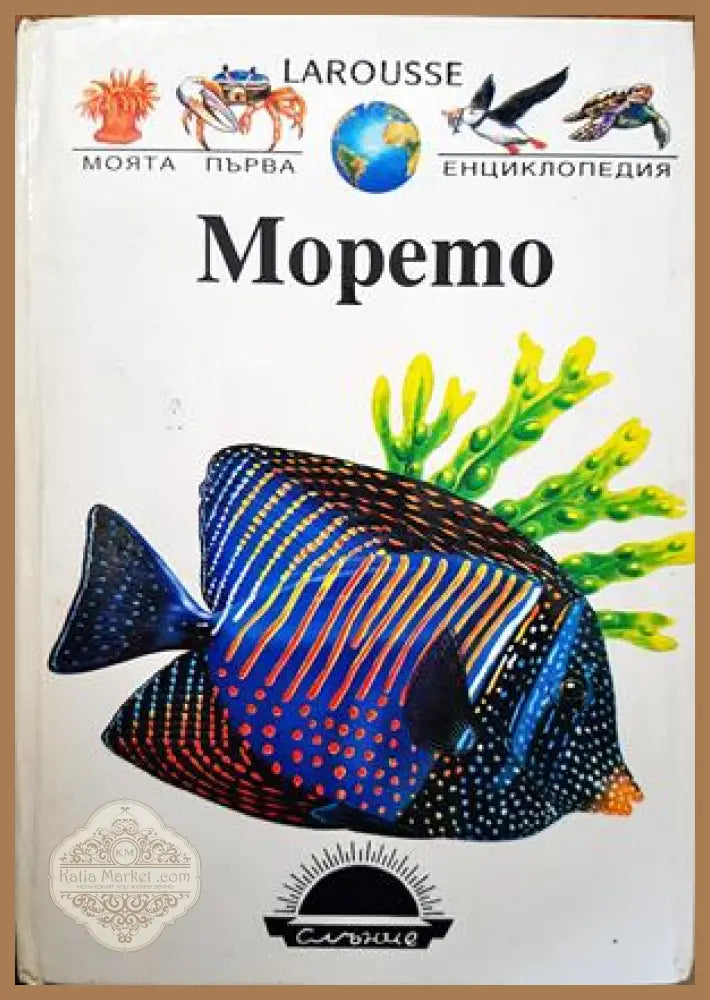 Морето - Колектив - Книги