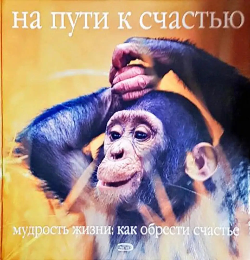 На пути к счастью (51) - Книга