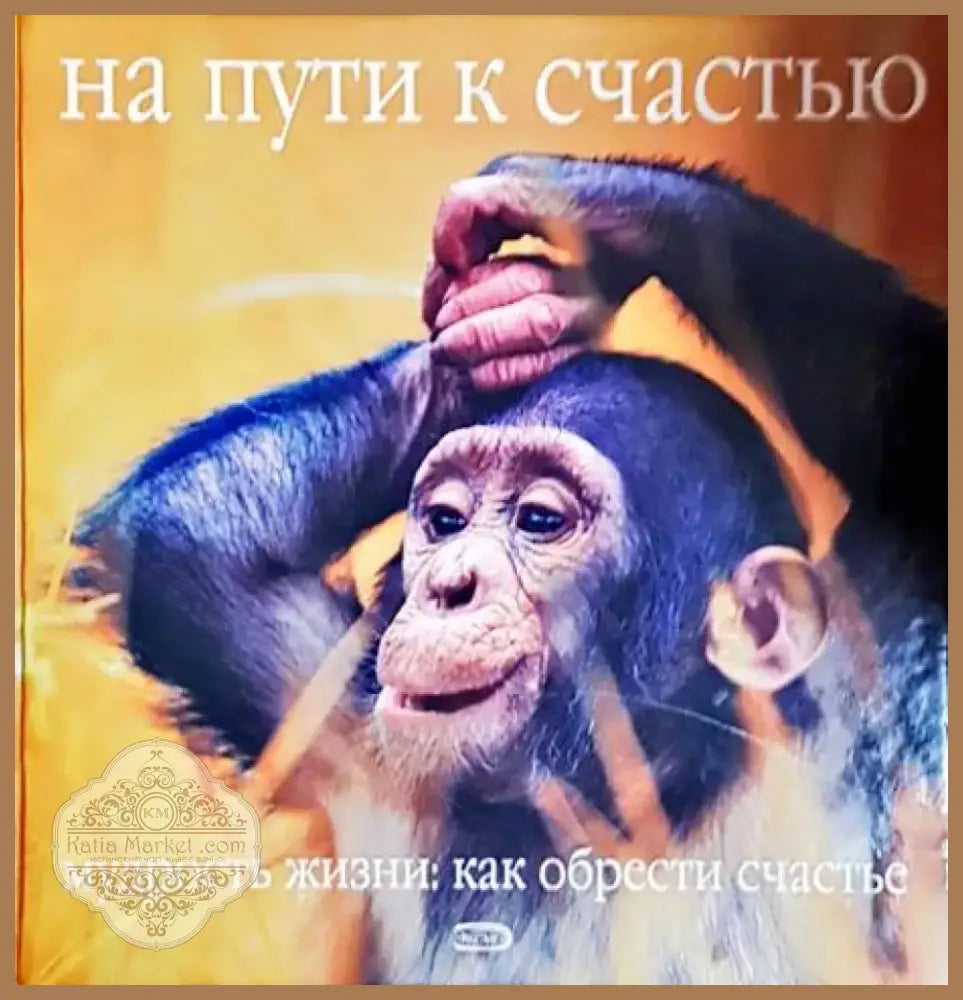 На пути к счастью (51) - Книга