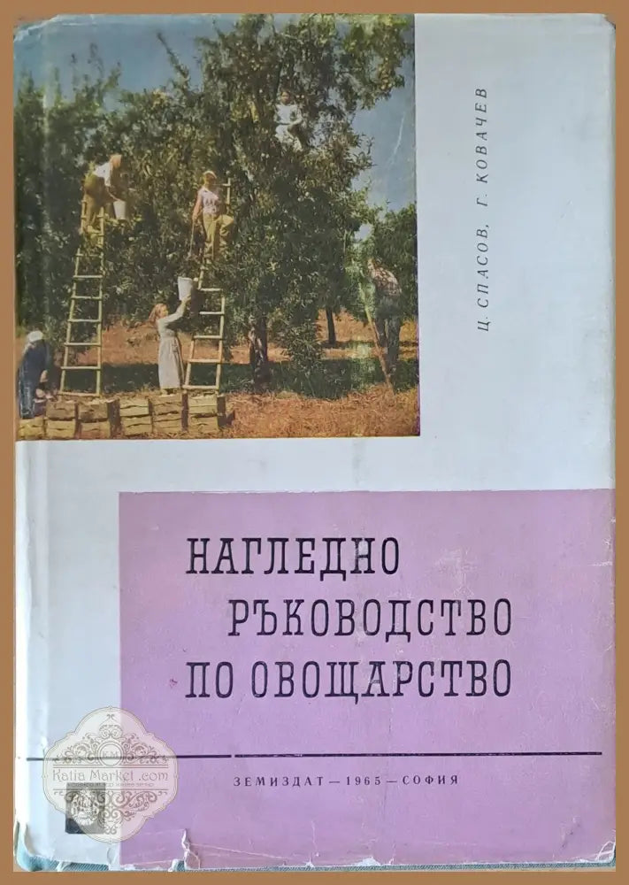 Нагледно ръководство по овощарство - Ц. Спасов / Г. Ковачев - Книги