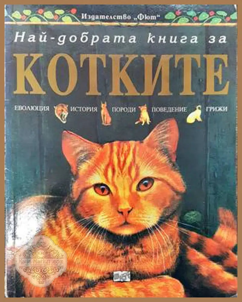 Най-добрата книга за котките - Аманда О’Нийл - Книги
