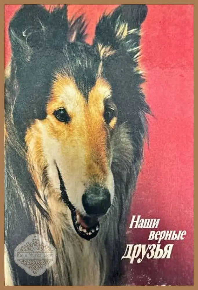 Наши верные друзья - В. Г. Гусев В. С. Нехаев - Книги