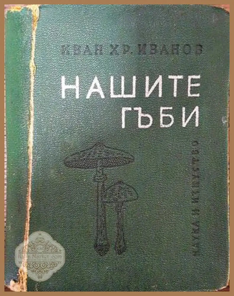 Нашите гъби - Иван Хр. Иванов - Книга