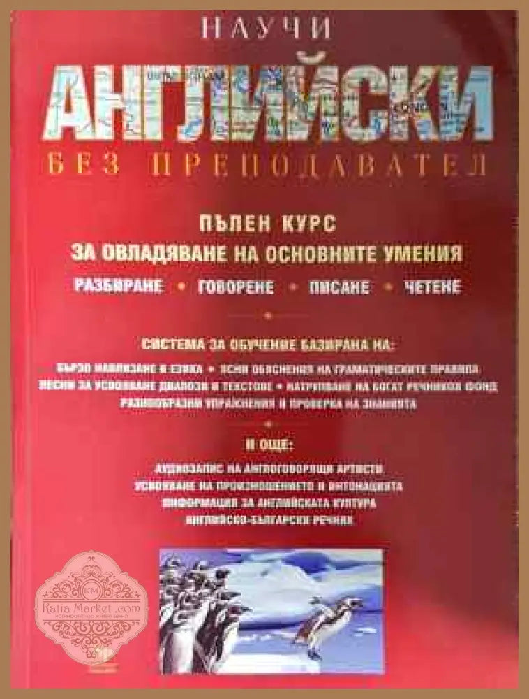 Научи английски без преподавател - Сандра Стивънс - Книга