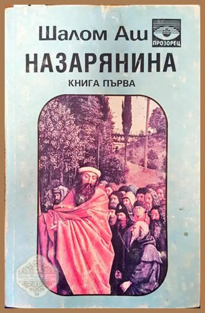 Назарянина. Книга 1 - Шалом Аш - Книги