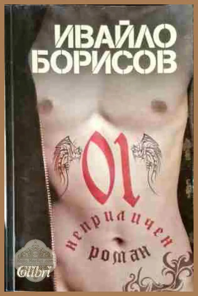 Неприличен роман - Ивайло Борисов - Книги