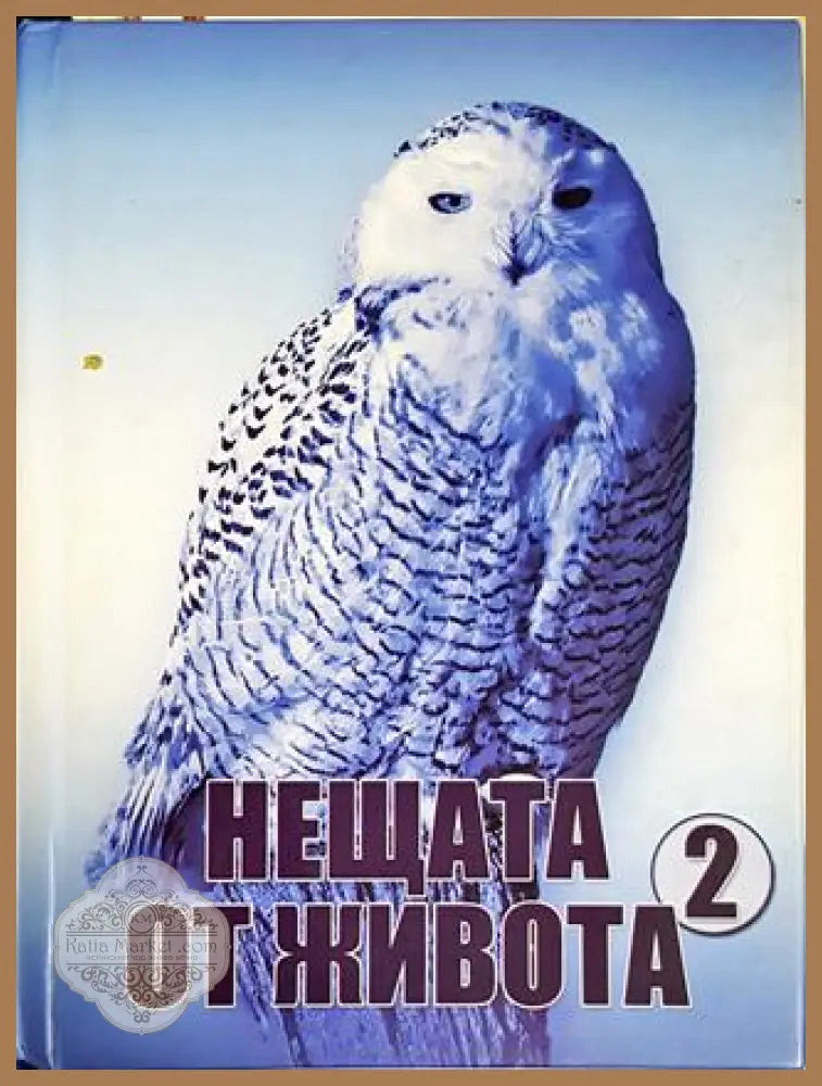 Нещата от живота. Книга 2 - Сборник - Книги