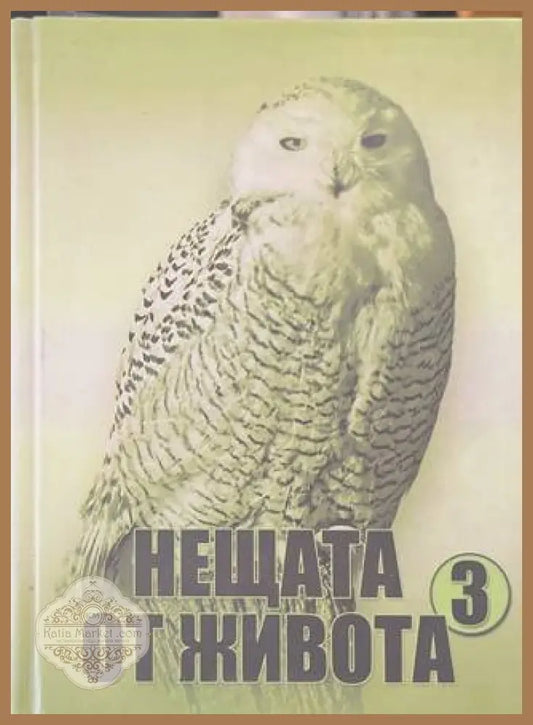 Нещата от живота Книга 3 - корица
