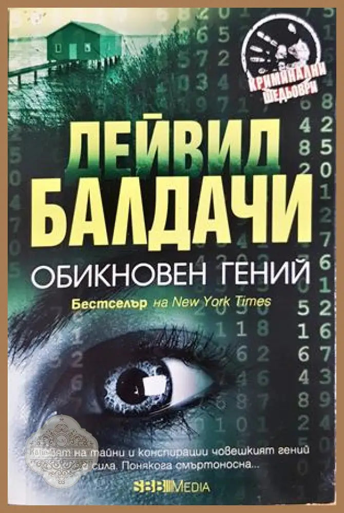 Обикновен гений - Дейвид Балдачи