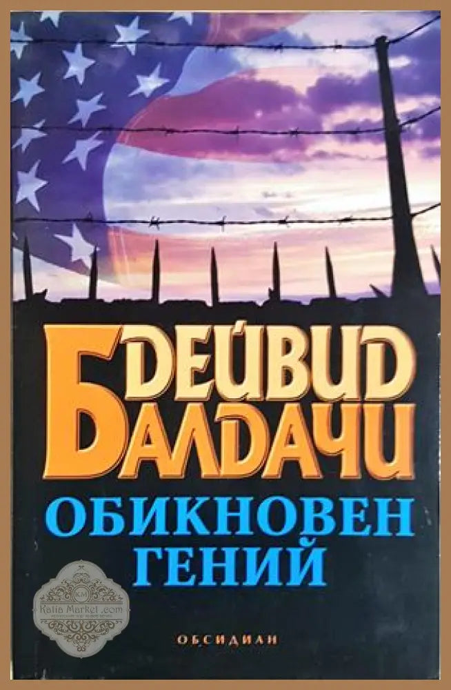 Обикновен гений - Дейвид Балдачи - Книга
