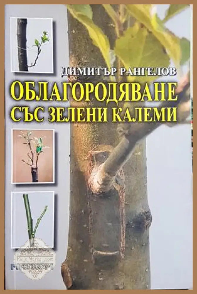 Облагородяване със зелени калеми - Димитър Рангелов