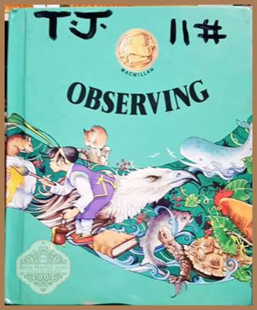 Observing - James Flood - Книги