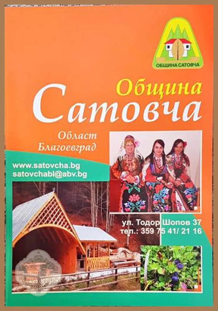 Община Сатовча - Книги