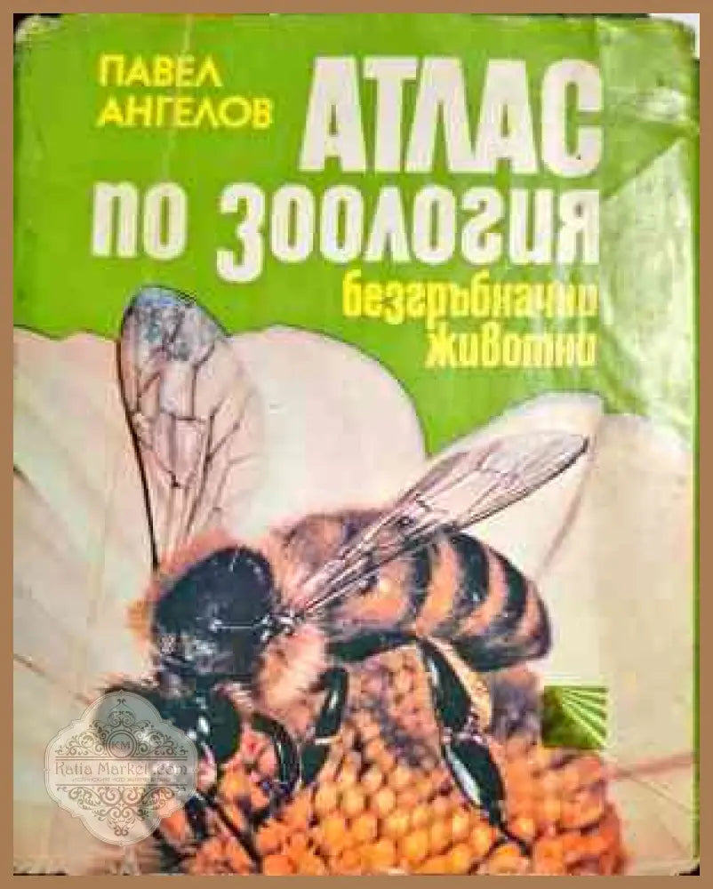 Оксфорд илюстрована енциклопедия: Природа - Колектив - Книги