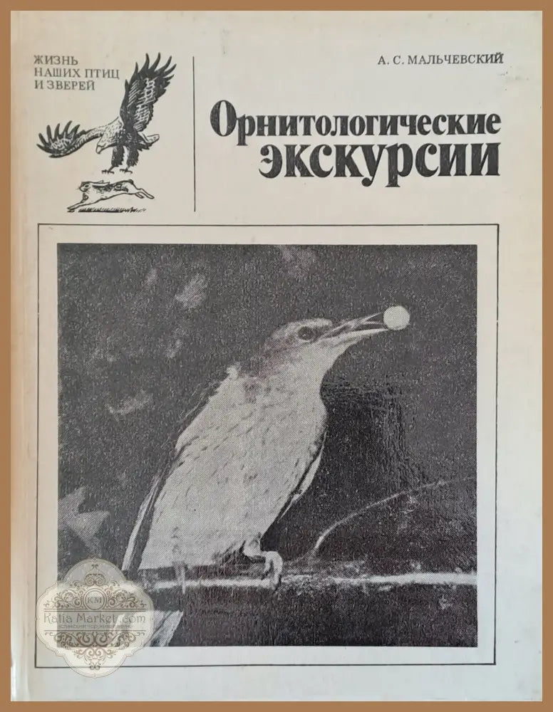 Орнитологические экскурсии - А. С. Мальчевский - Книги
