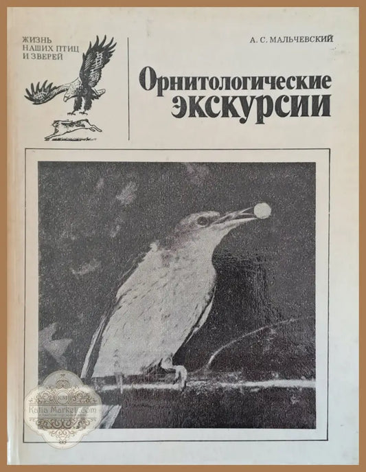 Орнитологические экскурсии - А. С. Мальчевский - Книги