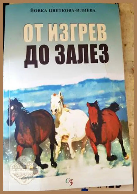 От изгрев до залез - Йовка Илиева - Книги