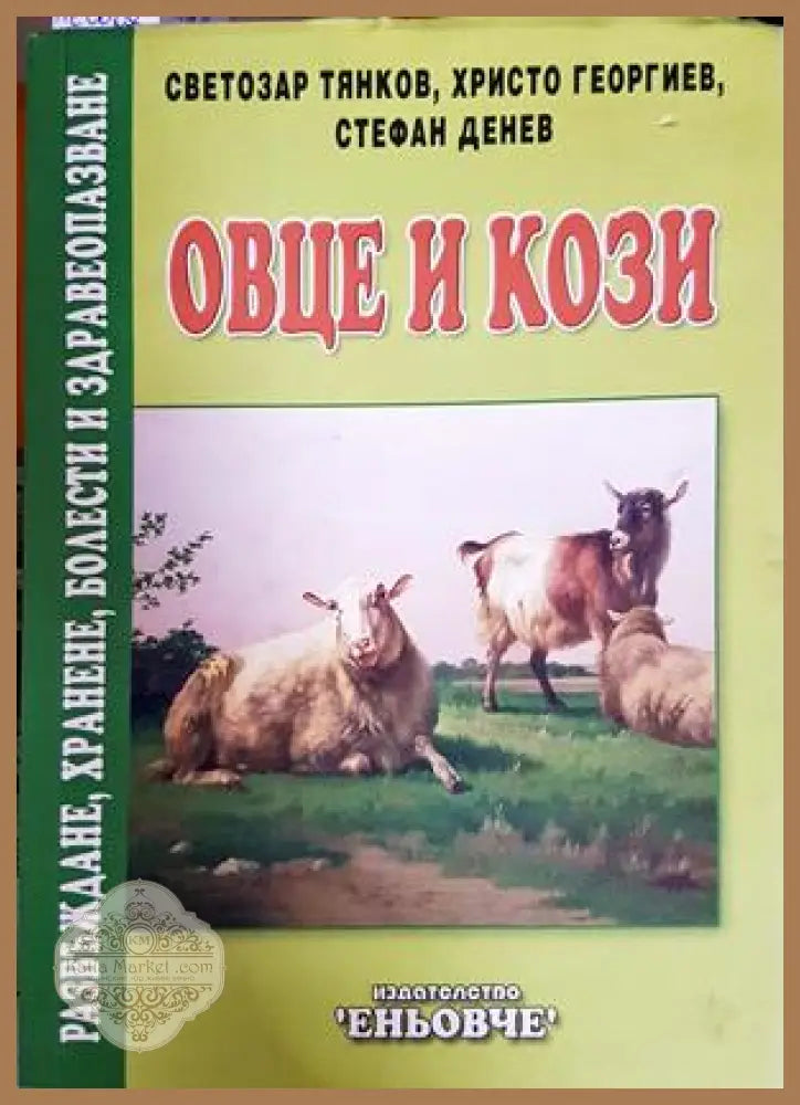 Овце и кози