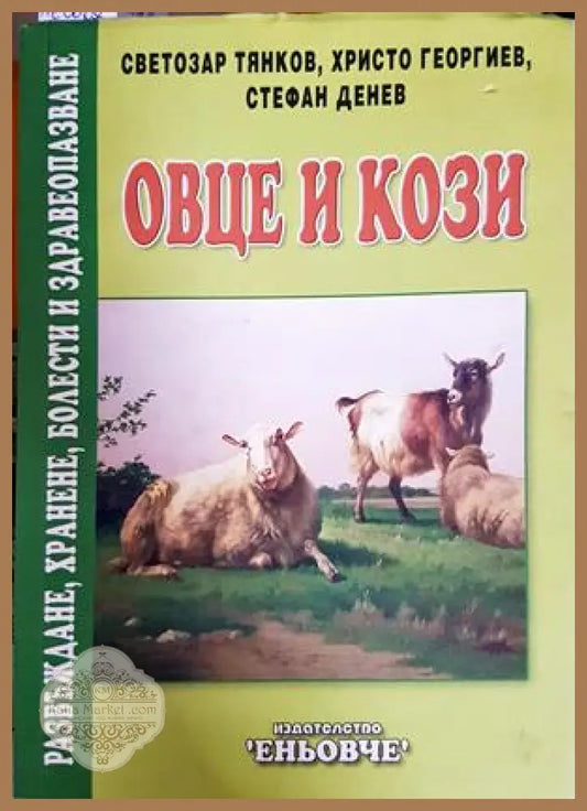 Овце и кози
