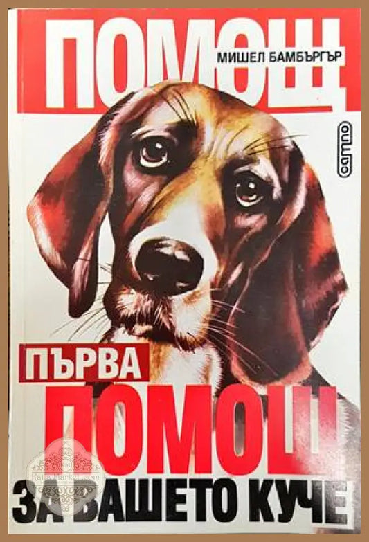 Първа помощ за вашето куче - Мишел Бамбъргър - Книги