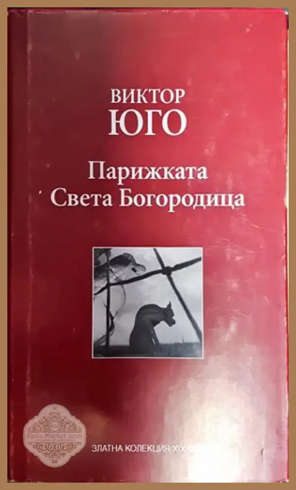 Парижката Света Богородица - Книга