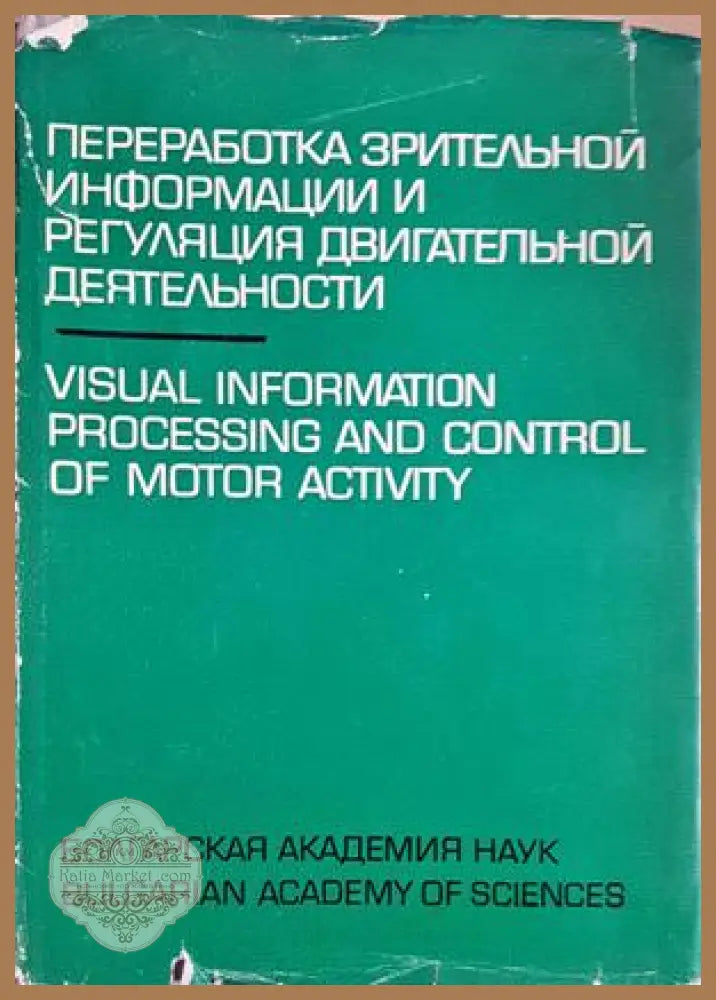 Переработка зрительной информации - корица