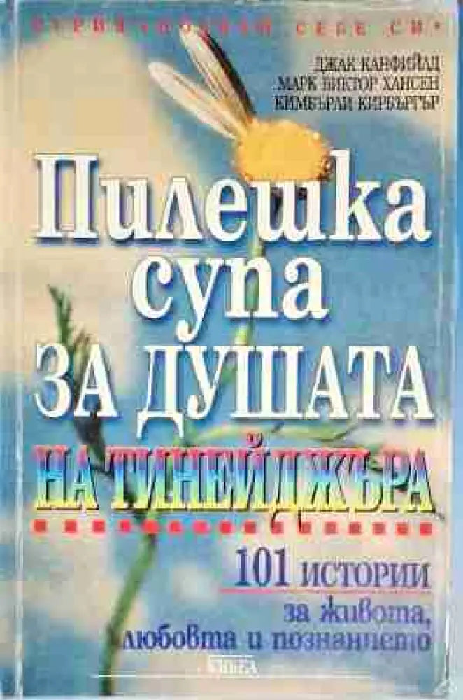 Пилешка супа за душата на тинейджъра - Книга