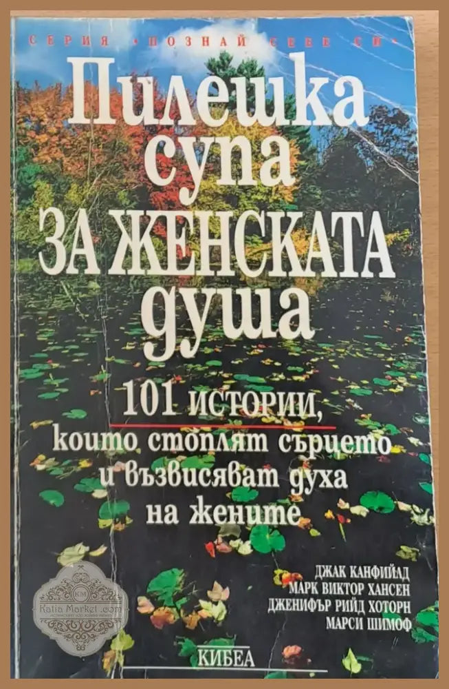 Пилешка супа за женската душа (563) - Книга