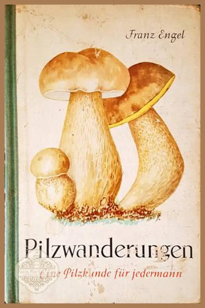 Pilze: Sicher bestimmt - Колектив - Книги