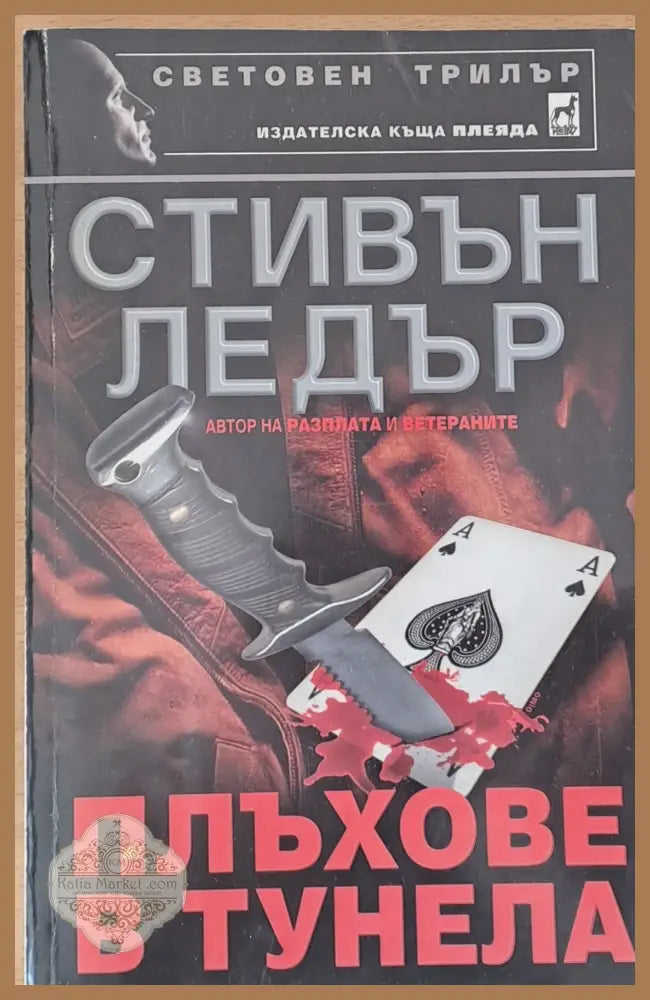 Плъхове в тунела - Стивън Ледър - Книги