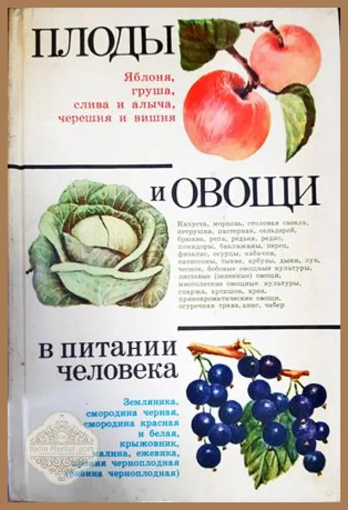 Плоды и овощи в питании человека - Д. К. Шапиро - Книги