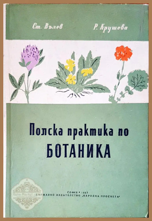 Плоска практика по ботаника - Ст. Вълев Р. Крушева - Книги