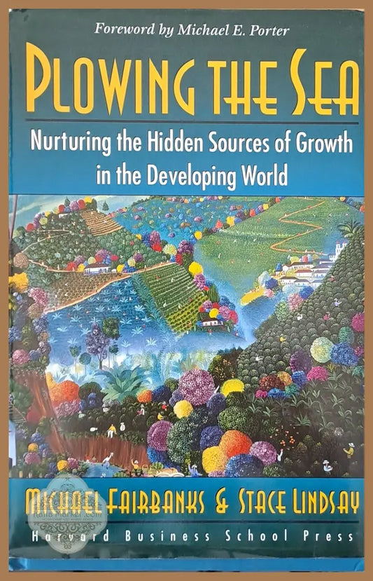 Plowing the Sea. Nurturing the Hidden Sources of Growth in the Developing World - Michael Fairbanks Stace Lindsay