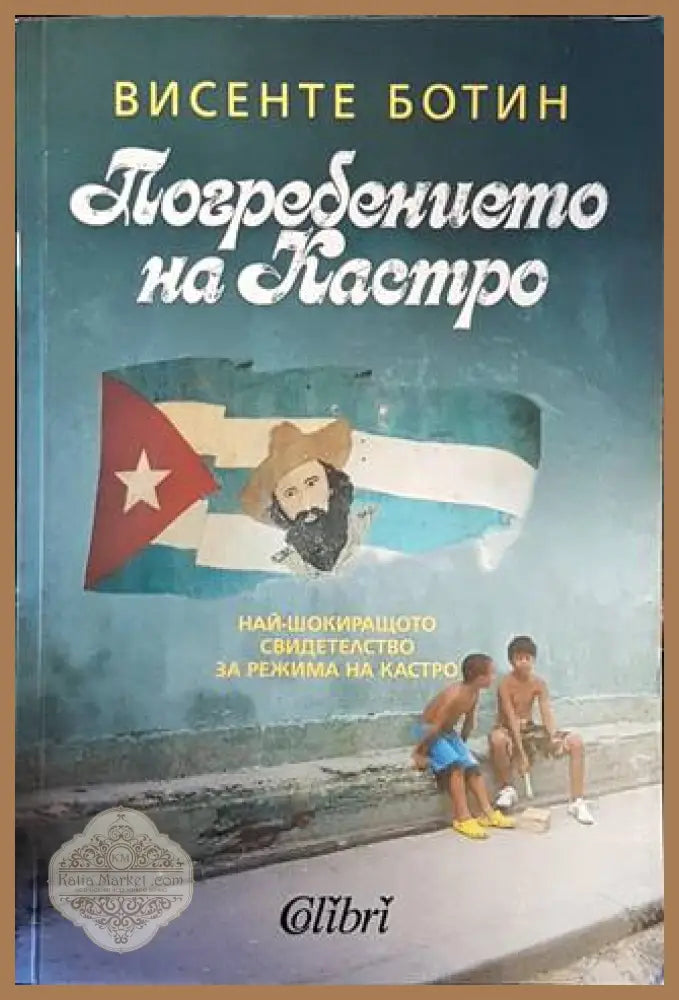 Погребението на Кастро - Висенте Ботин - Книги