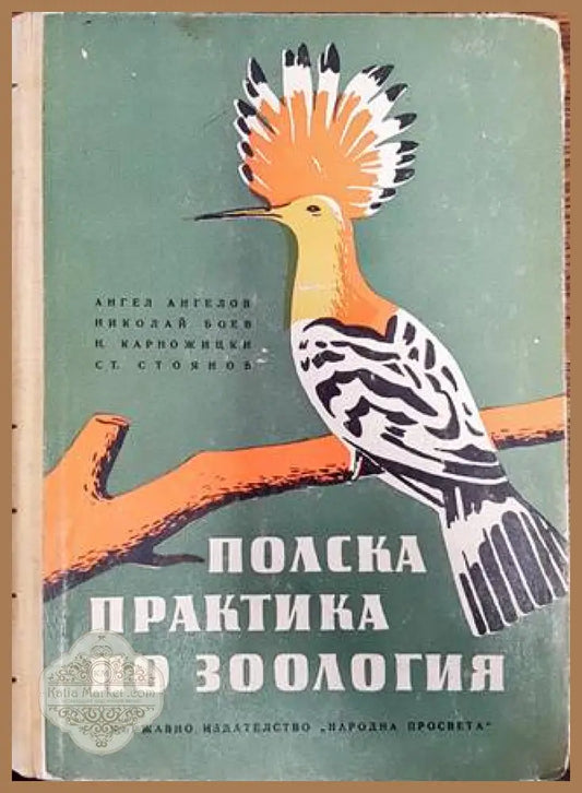 Полска практика по зоология - Ангел Ангелов Николай Боев Н. Карножицки С. Стоянов - Книги