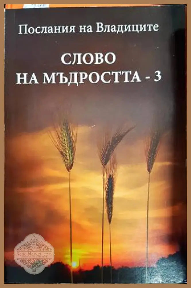 Послания на Владиците: Слово на мъдростта. Книга 3 - Татяна Микушина - Книги