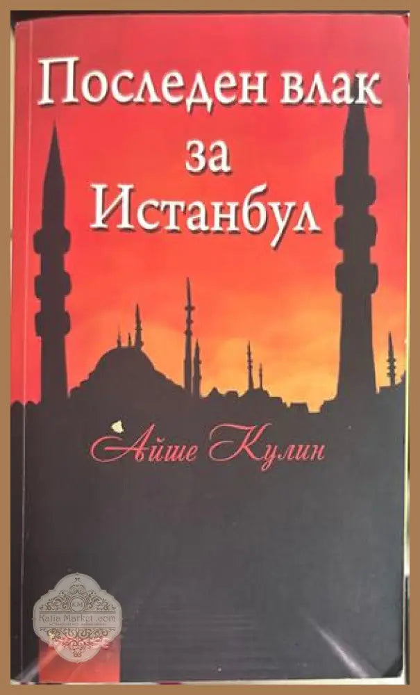 Последен влак за Истанбул - Айше Кулин