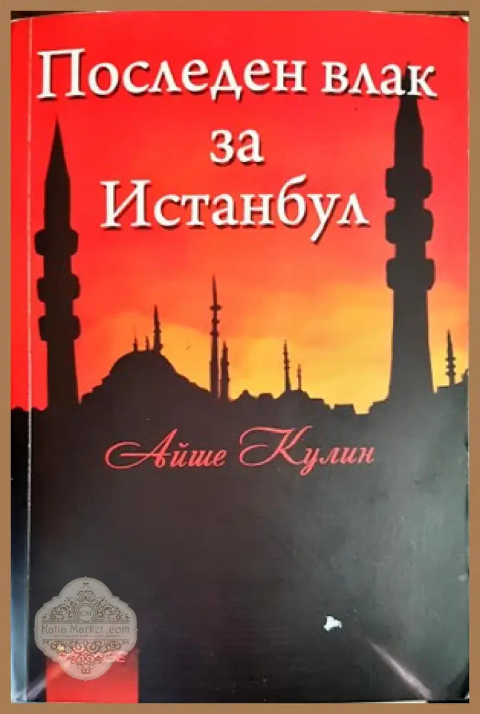 Последен влак за Истанбул - Айше Кулин - Книги